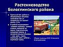 Растениеводство Белоглинского района