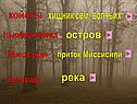 Койоты