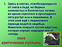 Зона арктических пустынь