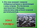 Зона тундры
