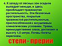 Степи - прерии