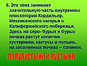 5. Эта зона занимает значительную часть внутренних плоскогорий