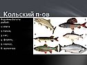 Водоёмы богаты рыбой