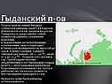 Мохово-лишайниковые и кустарниковые тундры