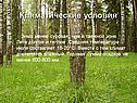 Климатические условия