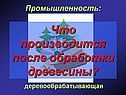 Что производится после обработки древесины