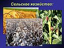 Сельское хозяйство