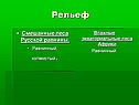 Смешанные леса Русской равнины