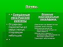 Почвы