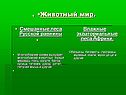 Животный мир