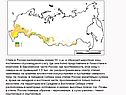 Степи в России