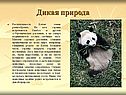 Дикая природа