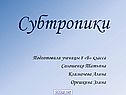 Субтропики