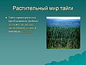 Растительный мир тайги