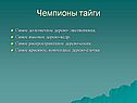 Чемпионы тайги