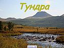 Тундра