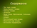 Содержание