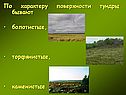 По характеру поверхности тундры бывают болотистые, торфянистые,