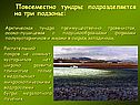 Повсеместно тундры подразделяется на три подзоны: