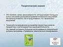 Теоретические знания