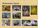 Животные Урала