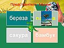 Представитель Африки