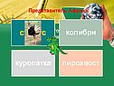 Представитель Африки