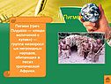 Пигмеи