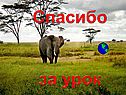 Спасибо за урок