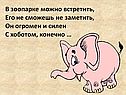 В зоопарке можно встретить