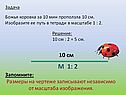 Божья коровка