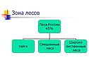Зона лесов