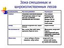 Зона смешанных и широколиственных лесов