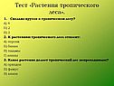 Растения тропического леса