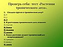 Сколько ярусов в тропическом лесу