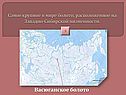 Васюганское болото