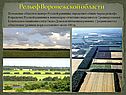 Рельеф Воронежской области