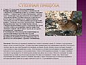 Степная пищуха