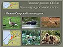 Заповедники СПб и Ленинградской области
