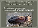 Государственный природный заказник «Гладышевский»