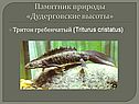 Памятник природы «Дудерговские высоты»