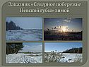 Заказник «Северное побережье Невской губы» зимой