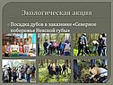 Экологическая акция