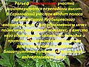 Рельеф Сараловского участка характеризуется перепадами высот
