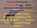 Птиц в заповеднике 195 видов