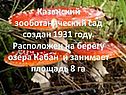 Казанский зооботанический сад