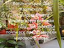 Ботанический сад Казанского государственного университета