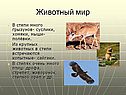 Животный мир