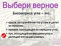 Биссектриса угла