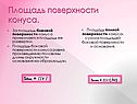 Площадь поверхности конуса